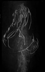 Ophian : Venomous Black Spiritual Arte